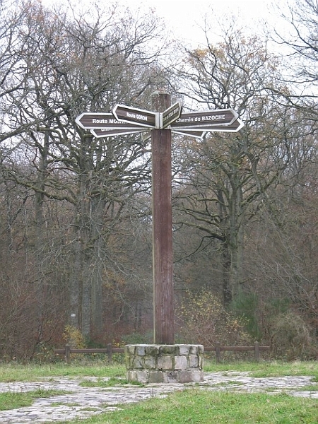 2006-12-Sylviculture