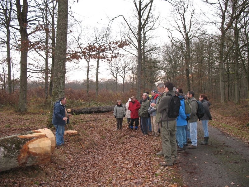 2006 Sylviculture 03