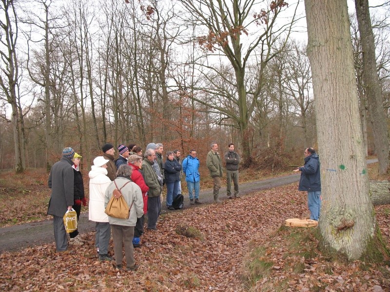 2006 Sylviculture 04