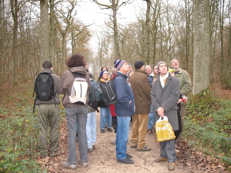 2006 Sylviculture 07