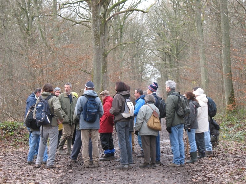 2006 Sylviculture 08