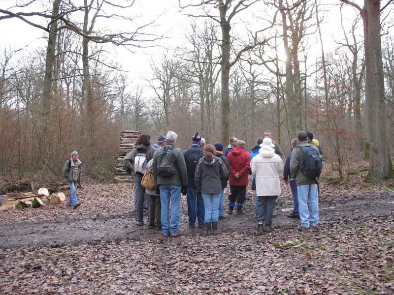 2006 Sylviculture 09