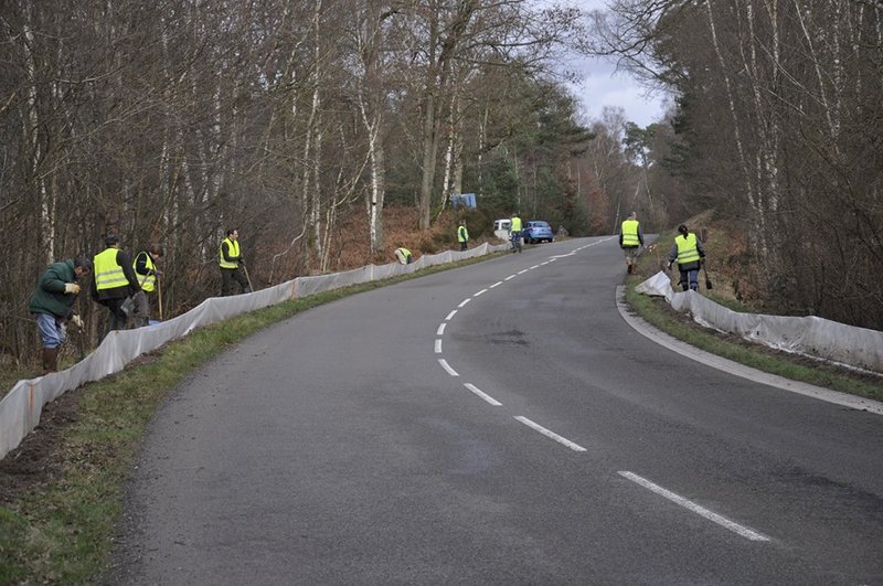 1656098 626541417395314 1120858991 n