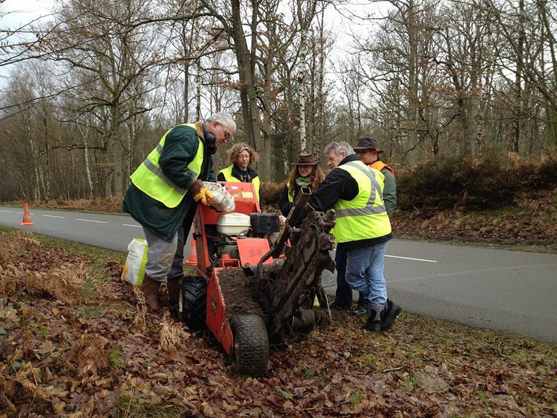 1779755 625739774142145 1416652784 n