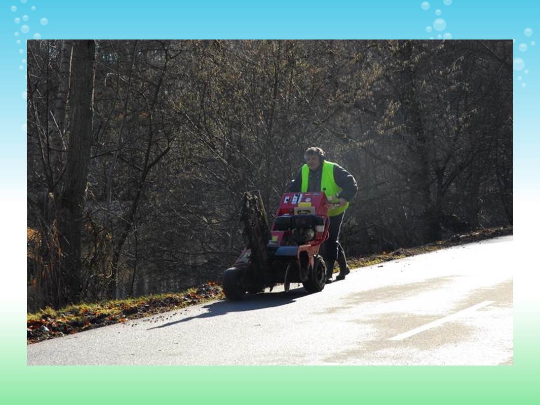 2012 CRAPAUDROME NINON