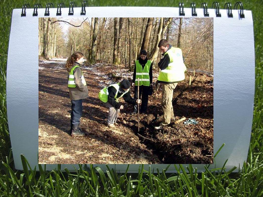 2012 MONTAGE DU CRAPAUDROME