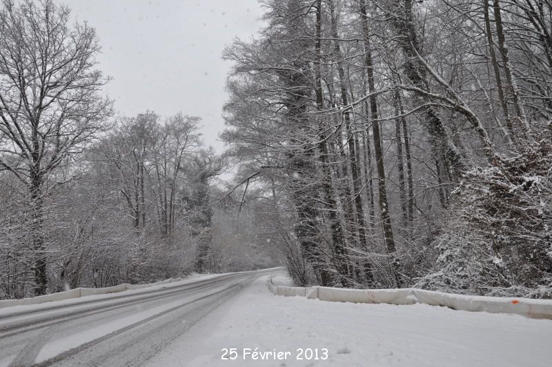 2013 02 25 CRAPAUDROME SOUS LA NEIGE