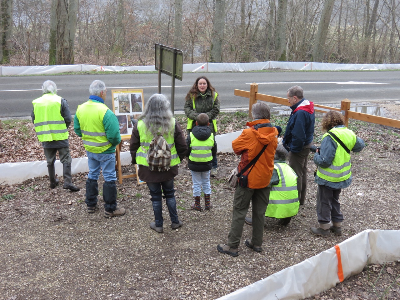 2013 03 24 CRAPAUDROME BERNARD C