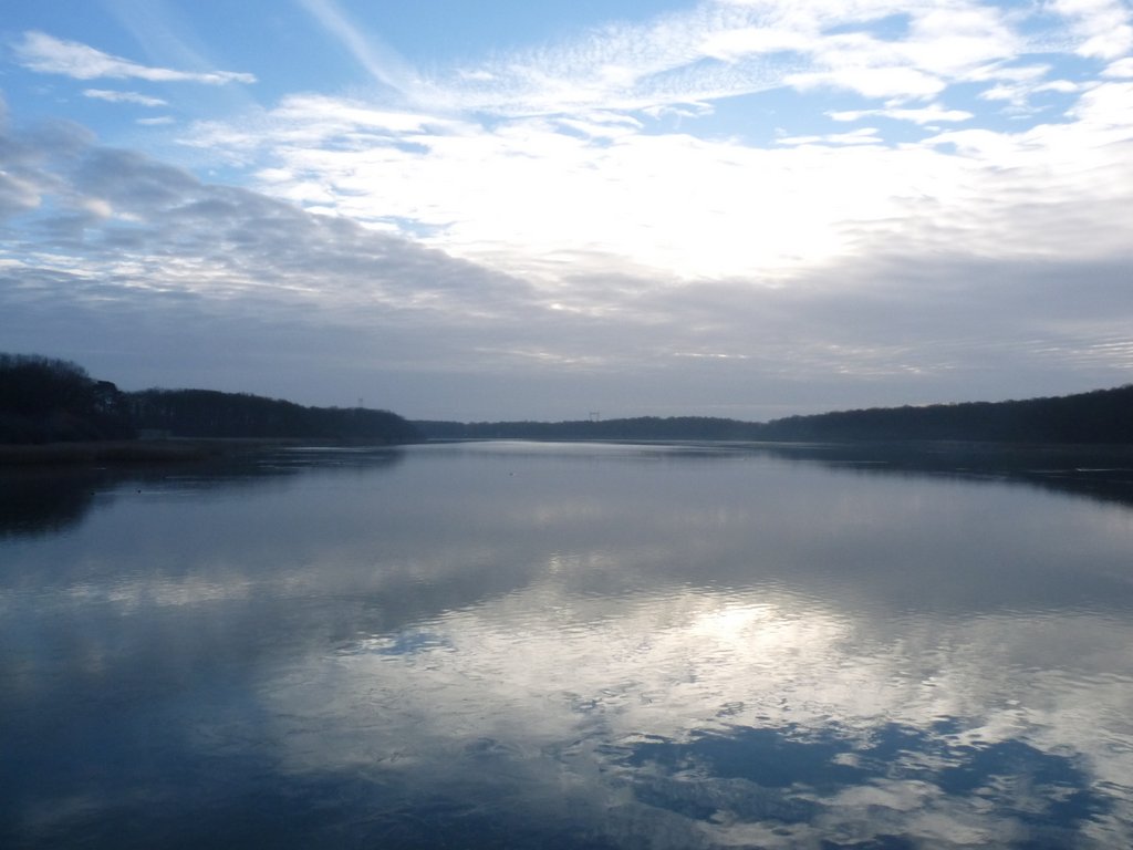 2015-01-25-Sortie ornitho aux étangs de St Hubert